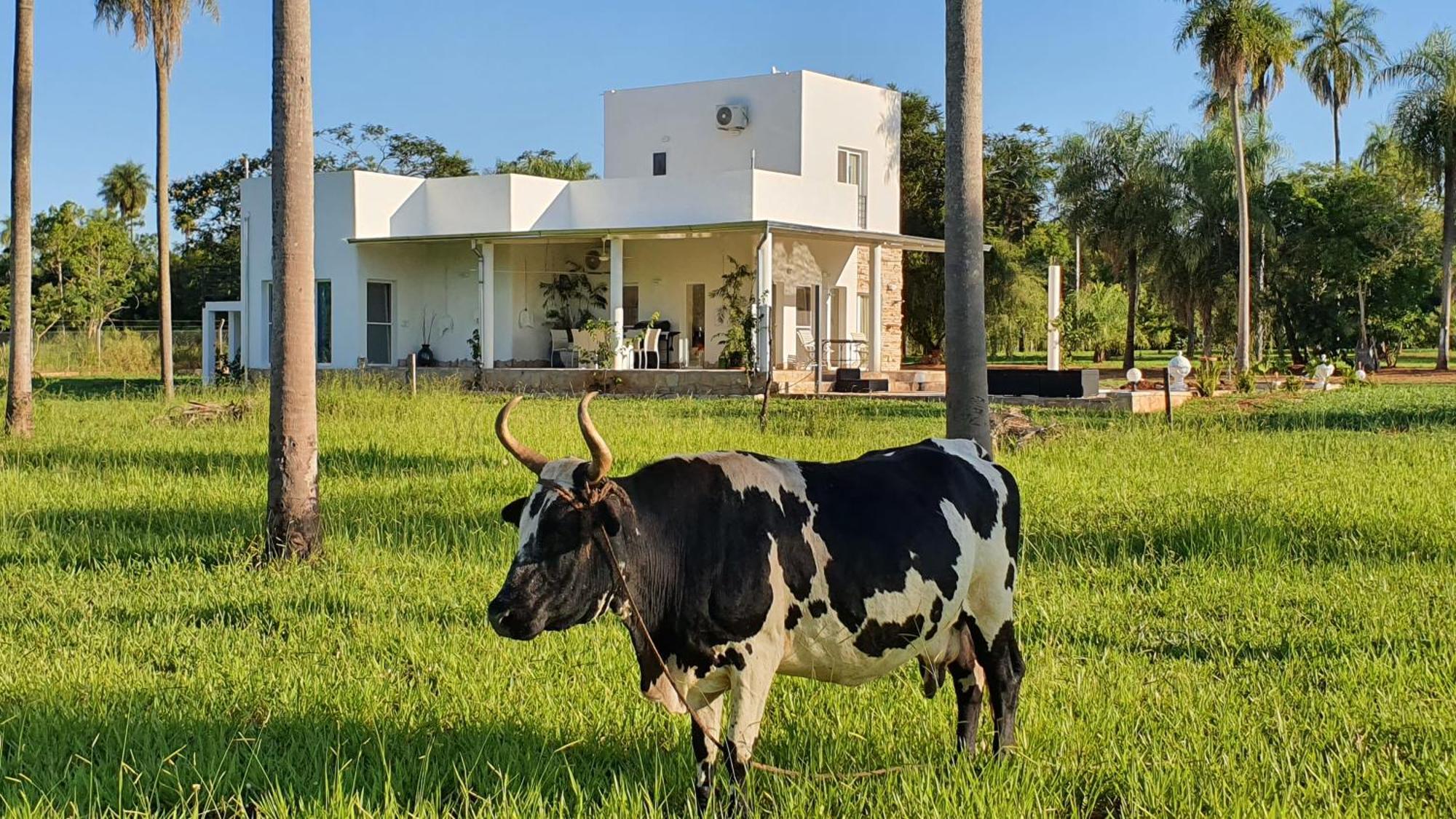 Residencia De Coco, Kunstlerhaus In Piribebuy,ヴィラ エクステリア 写真