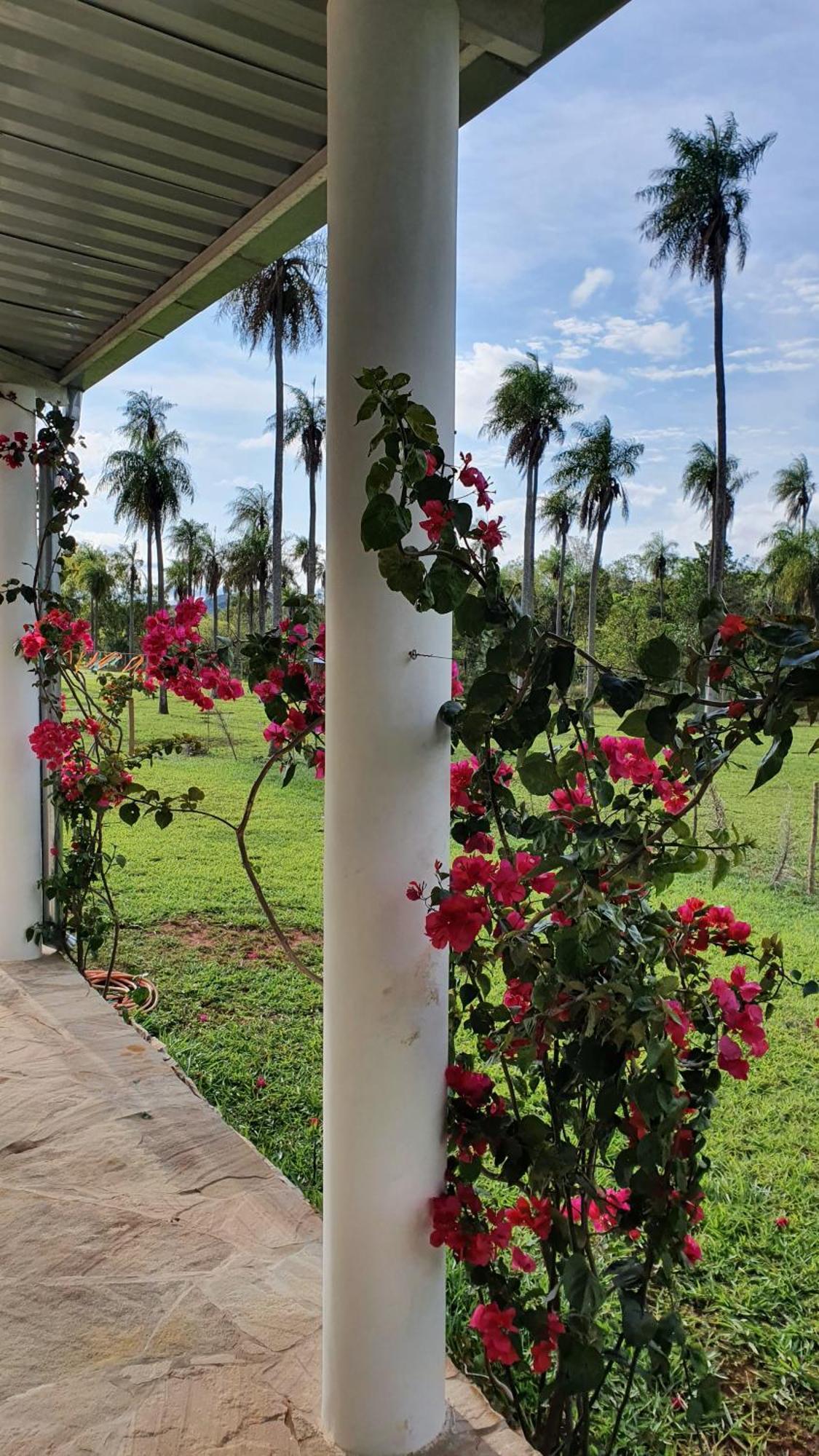 Residencia De Coco, Kunstlerhaus In Piribebuy,ヴィラ エクステリア 写真